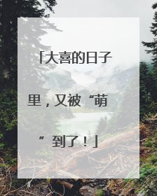 大喜的日子里，又被“萌”到了！