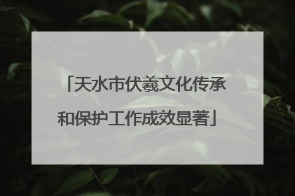 天水市伏羲文化传承和保护工作成效显著