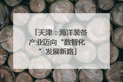 天津：海洋装备产业迈向“数智化”发展新路