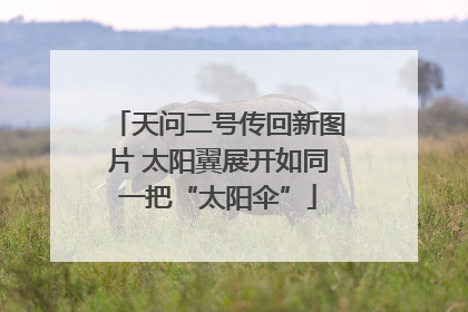 天问二号传回新图片 太阳翼展开如同一把“太阳伞”