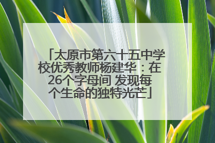 太原市第六十五中学校优秀教师杨建华：在26个字母间 发现每个生命的独特光芒