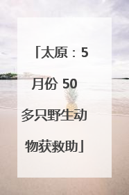 太原：5月份 50多只野生动物获救助