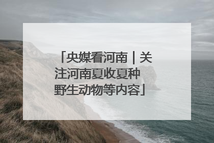 央媒看河南｜关注河南夏收夏种 野生动物等内容