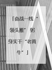 奋战一线“领头雁” 躬身实干“老黄牛”