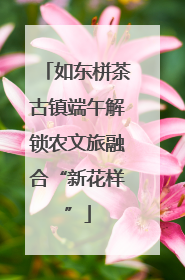 如东栟茶古镇端午解锁农文旅融合“新花样”
