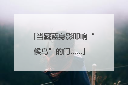 当藏蓝身影叩响“候鸟”的门……