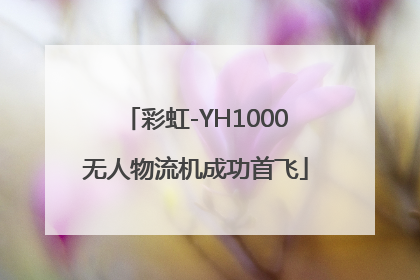 彩虹-YH1000无人物流机成功首飞