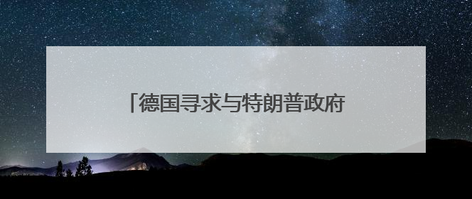 德国寻求与特朗普政府协调涉乌克兰问题立场