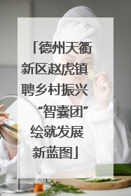 德州天衢新区赵虎镇聘乡村振兴“智囊团” 绘就发展新蓝图