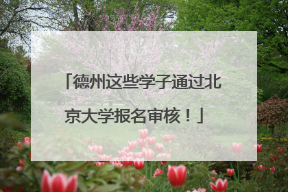 德州这些学子通过北京大学报名审核！