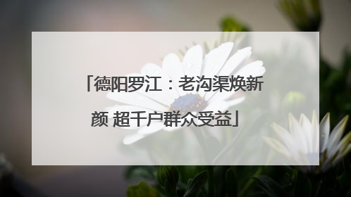 德阳罗江：老沟渠焕新颜 超千户群众受益