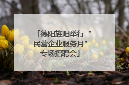 德阳旌阳举行“民营企业服务月”专场招聘会