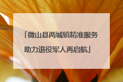 微山县两城镇精准服务助力退役军人再启航