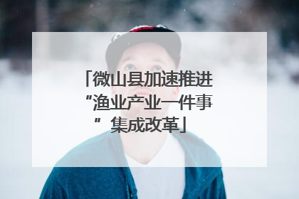 微山县加速推进“渔业产业一件事”集成改革