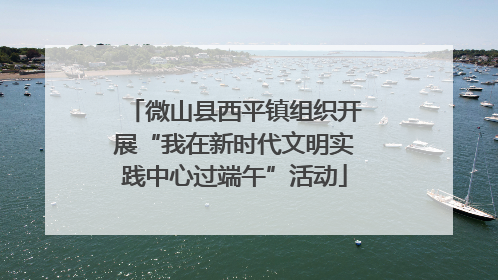 微山县西平镇组织开展“我在新时代文明实践中心过端午”活动