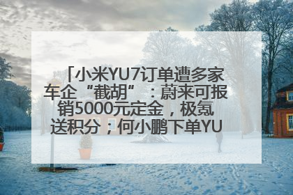 小米YU7订单遭多家车企“截胡”：蔚来可报销5000元定金，极氪送积分；何小鹏下单YU7，喊话雷军早点交付