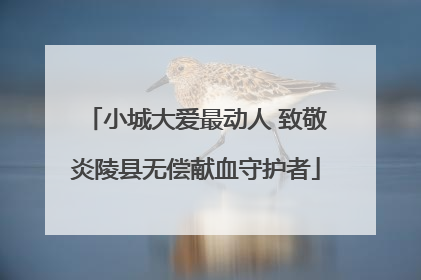 小城大爱最动人 致敬炎陵县无偿献血守护者