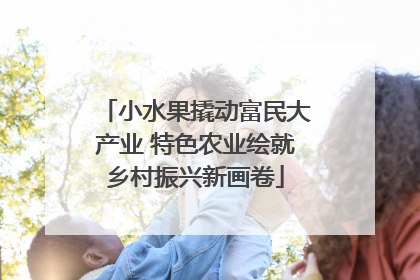 小水果撬动富民大产业 特色农业绘就乡村振兴新画卷