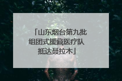 山东烟台第九批组团式援藏医疗队抵达聂拉木