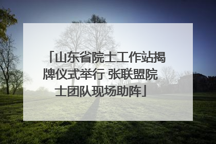 山东省院士工作站揭牌仪式举行 张联盟院士团队现场助阵