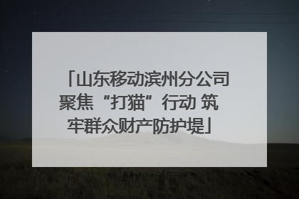山东移动滨州分公司聚焦“打猫”行动 筑牢群众财产防护堤