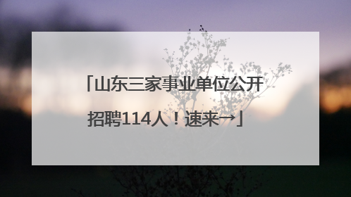 山东三家事业单位公开招聘114人！速来→