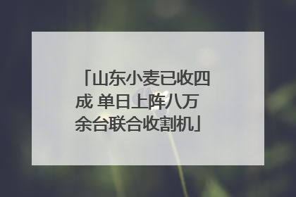 山东小麦已收四成 单日上阵八万余台联合收割机