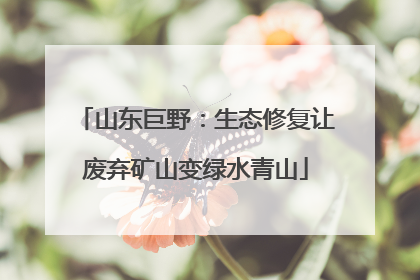 山东巨野：生态修复让废弃矿山变绿水青山