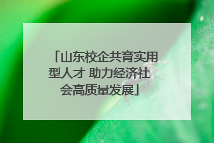 山东校企共育实用型人才 助力经济社会高质量发展