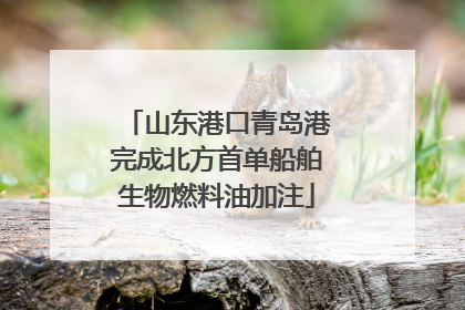 山东港口青岛港完成北方首单船舶生物燃料油加注