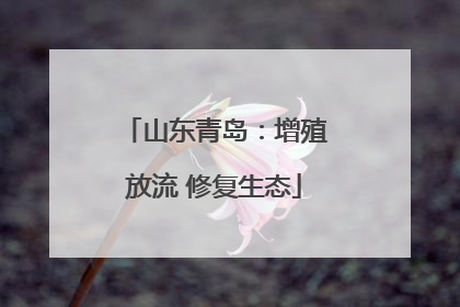 山东青岛：增殖放流 修复生态