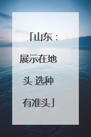 山东：展示在地头 选种有准头