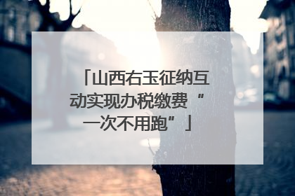 山西右玉征纳互动实现办税缴费“一次不用跑”