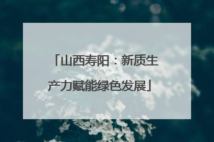 山西寿阳：新质生产力赋能绿色发展