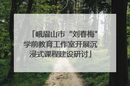 峨眉山市“刘春梅”学前教育工作室开展沉浸式课程建设研讨