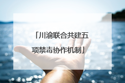 川渝联合共建五项禁毒协作机制