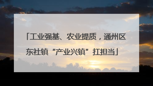 工业强基、农业提质，通州区东社镇“产业兴镇”扛担当