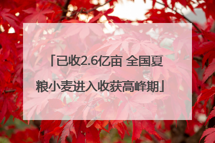 已收2.6亿亩 全国夏粮小麦进入收获高峰期