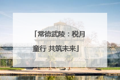 常德武陵：税月童行 共筑未来