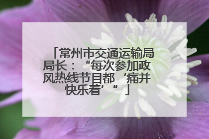 常州市交通运输局局长：“每次参加政风热线节目都‘痛并快乐着’”