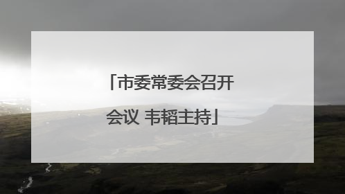 市委常委会召开会议 韦韬主持