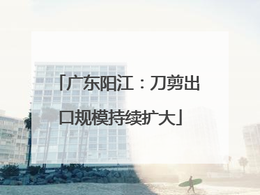 广东阳江：刀剪出口规模持续扩大