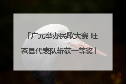 广元举办民歌大赛 旺苍县代表队斩获一等奖