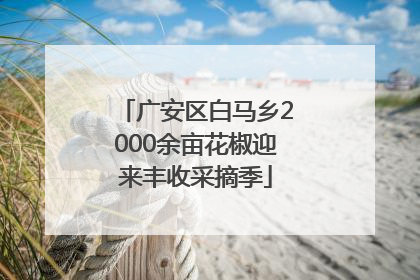 广安区白马乡2000余亩花椒迎来丰收采摘季