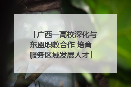 广西一高校深化与东盟职教合作 培育服务区域发展人才