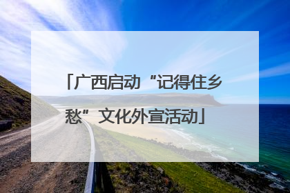广西启动“记得住乡愁”文化外宣活动
