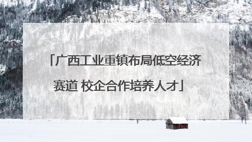 广西工业重镇布局低空经济赛道 校企合作培养人才