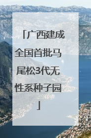 广西建成全国首批马尾松3代无性系种子园