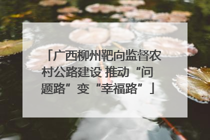 广西柳州靶向监督农村公路建设 推动“问题路”变“幸福路”