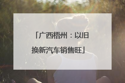 广西梧州：以旧换新汽车销售旺
